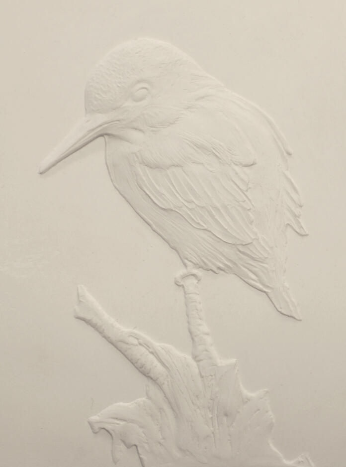 Bird, 2013